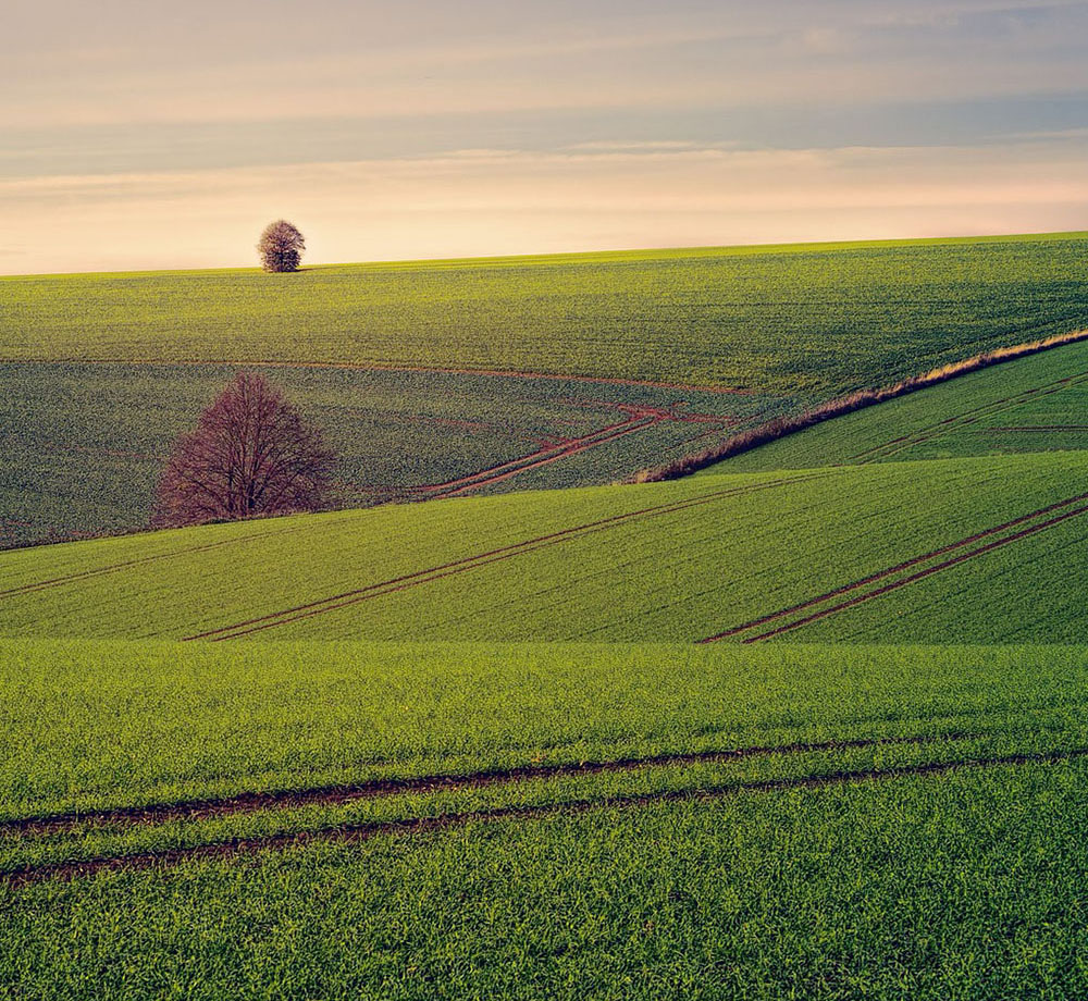 Referat 1 - Landwirtschaftliche und ländliche Entwicklung